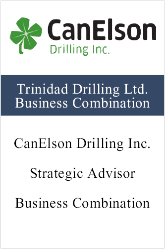CanElseon (Business Combination)